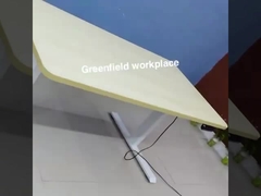 elektrisch verstelbaar bureau